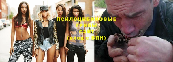 винт Богородицк